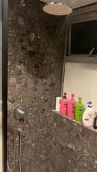 Blk 353A Anchorvale Plains (Sengkang), HDB 2 Rooms #564620181